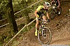 11_2b-Stephane Tempier