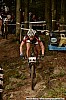 25_4a-Lysander Kiesel