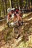 25_4b-Lysander Kiesel