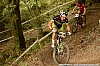 45_2-Samuel Rosenkranz