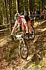 48_4b-Harold Flandre
