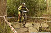 35_1b-Perrine Clauzel