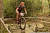 36_1-Elisabeth Brandau
