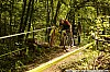 0131-1_Patrick Pfeifer