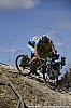 086_2-Didier Bats