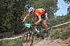 2151_1-Francois Vidal