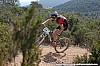 440_1-Arnaud Vincent