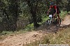 440_2-Arnaud Vincent