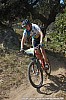 3639_1-Etienne Tedeschi