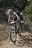 3642_1-Vincent Leclercq