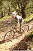 3522_3-Romain Pommelet