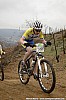 138_1-Maxime Barbarin