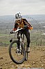 274_1-Nicolas Daminato