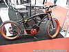 E-Bike1