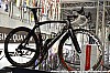 Pro_Ridley_Greipel