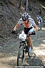 41_2-Daniel Kaufmann