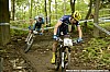 011_7-Neilo Perrin-Ganier