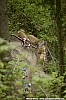015_2-Benjamin Inauen
