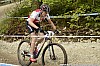 016_4-Simon Vitzthum