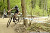 029_3-Simon Lawson