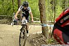 029_4-Simon Lawson
