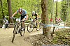 031_3-Wout Alleman