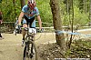 031_4-Wout Alleman