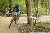 036_3-Gioele Bertolini