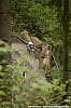 043_2-Jan Vastl