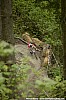 049_2-Niels Bech Rasmussen