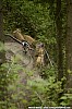066_2-Dylan Kerfoot-Robson