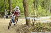 090_3-Aleksandar Roman