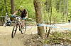095_3-Gregor Krajnc