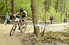 113_2-Simone Tarchini
