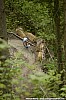 115_2-Romain Boutet