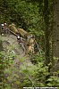 120_2-Florian Gruber