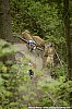 124_2-Remy Denervaud