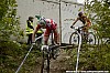 126_1-Hugo Pigeon
