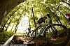 022-1b_Stephane Tempier