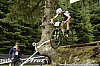 016_3-Wout Alleman