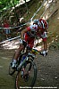 008_2-Burry Stander